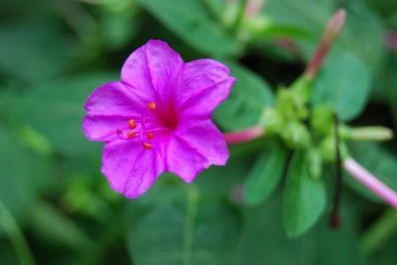 谁不讲风水谁倒霉？